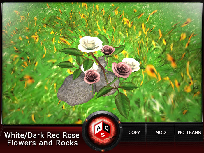ACS White/Dark Red Rose Flowers and Rocks