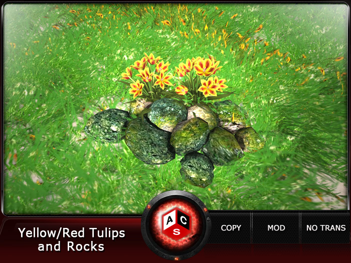 ACS Yellow/Red Tulips and Rocks