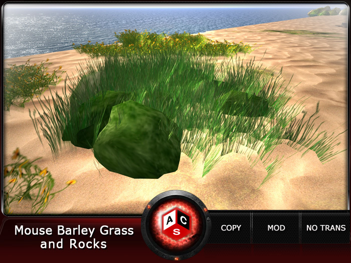ACS Mouse Barley Grass and Rocks