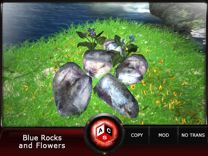ACS Blue Rocks and Flowers