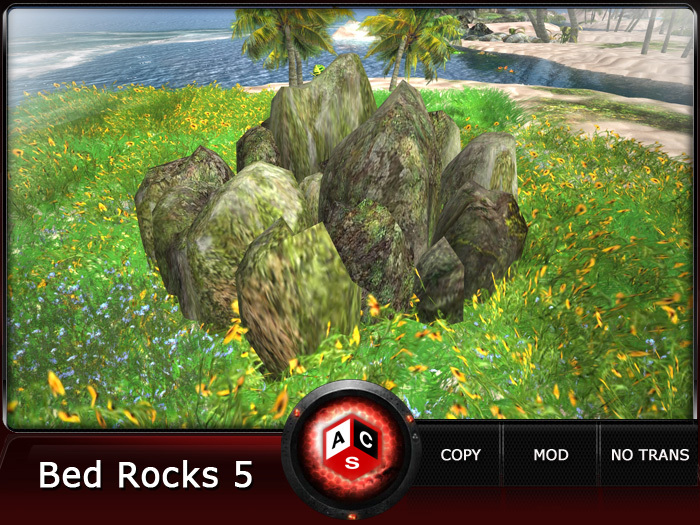 ACS Bed Rocks 5