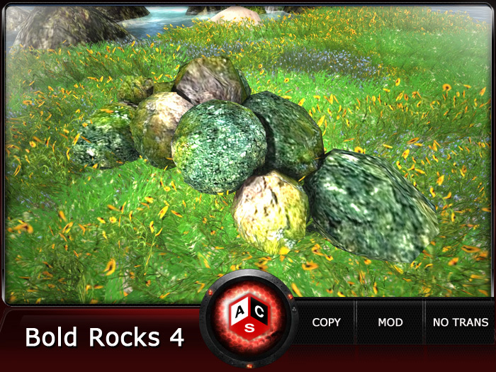 ACS Bold Rocks 4