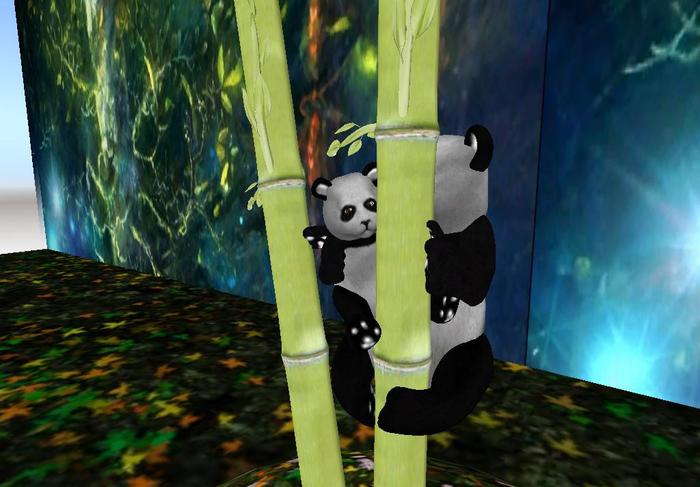 (TC) Panda Bamboo tree