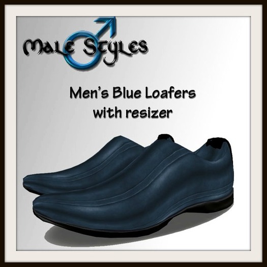 Men's blue loafers with resizer