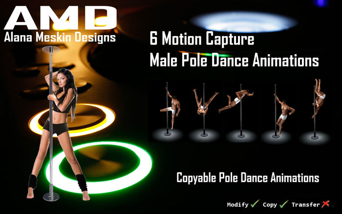AMD - 6 Copyable Male Dance Pole Animations