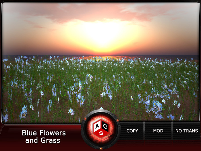ACS Blue Flowers and Grass