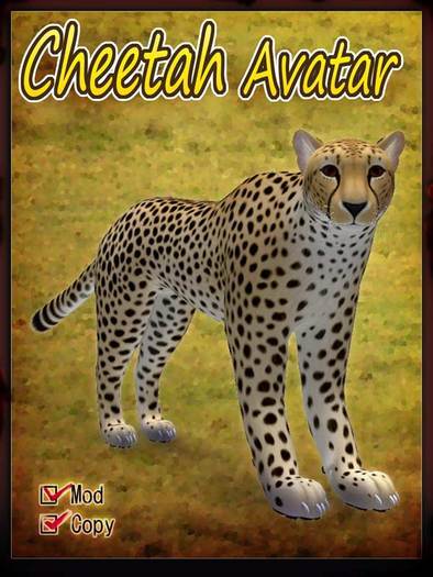 Cheetah Avatar Lsize
