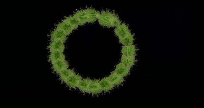 [ TL ] FURNITURE Aspargus Plant (20) - DOLLARBIE