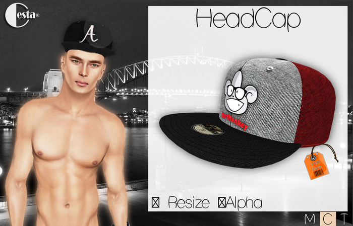 // HeadCap \\ Nerd Monkey