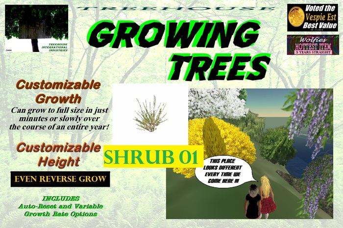 Growing Shrub 01 (Copy)