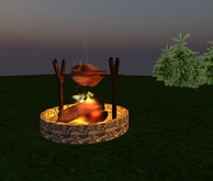 Lagerfeuer mit Grillhähnchen/ campfire with grilled chicken