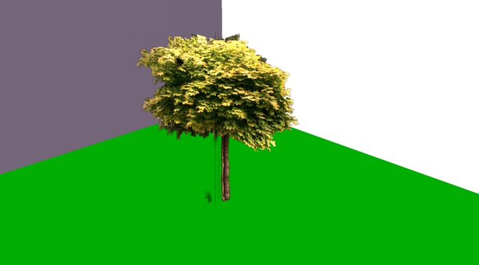 Growing Tree 17 (Copy)