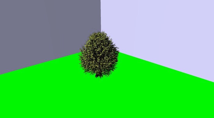Growing Shrub 11 (Copy)