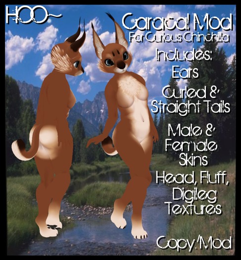 HOO~ Caracal Mod