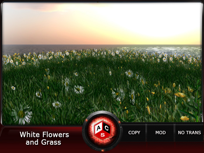ACS White Flowers and Grass