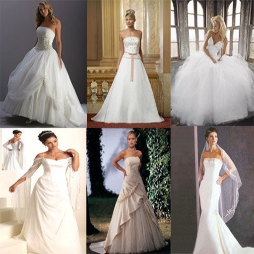 150 Gown Dresses and Pants Suits