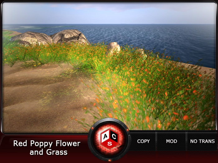 ACS Red Poppy Flower and Grass
