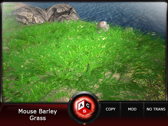 ACS Mouse Barley Grass