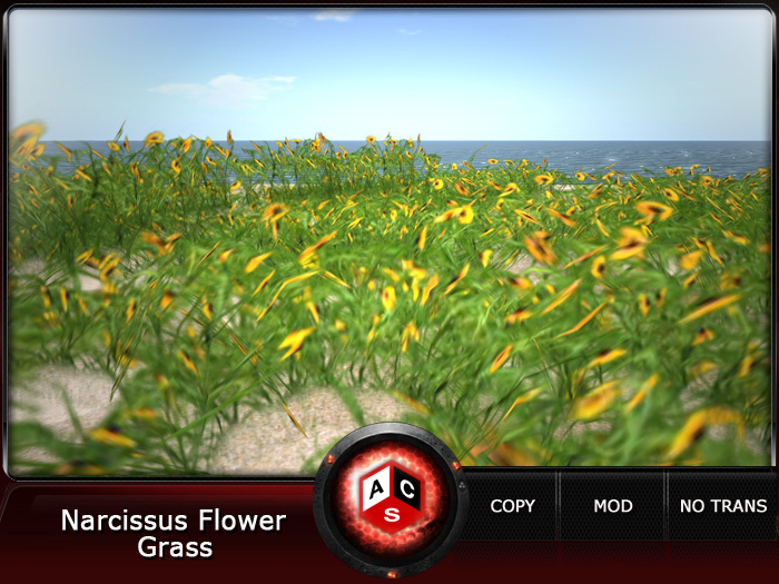 ACS Narcissus Flower Grass