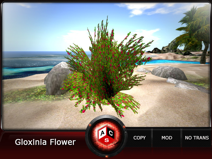 ACS Gloxinia Flower