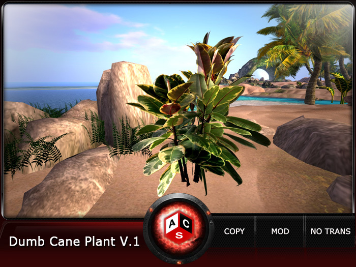ACS Dumb Cane Plant V.1
