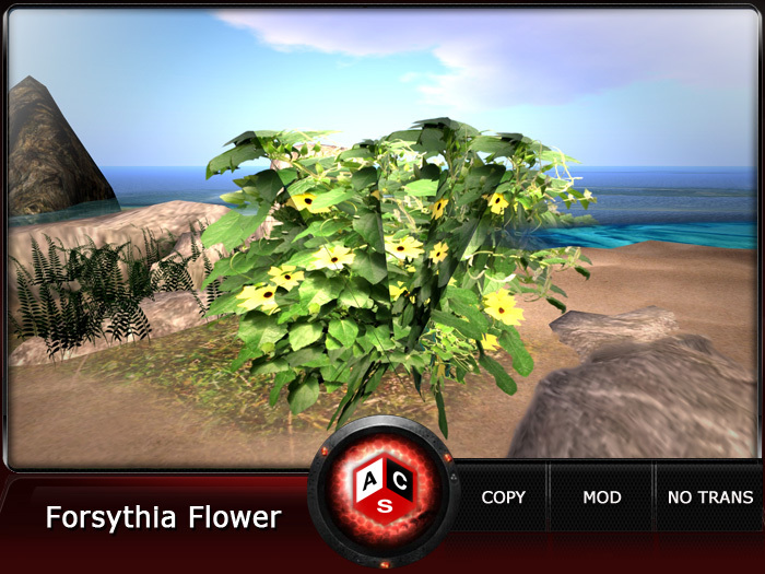 ACS Forsythia Flower