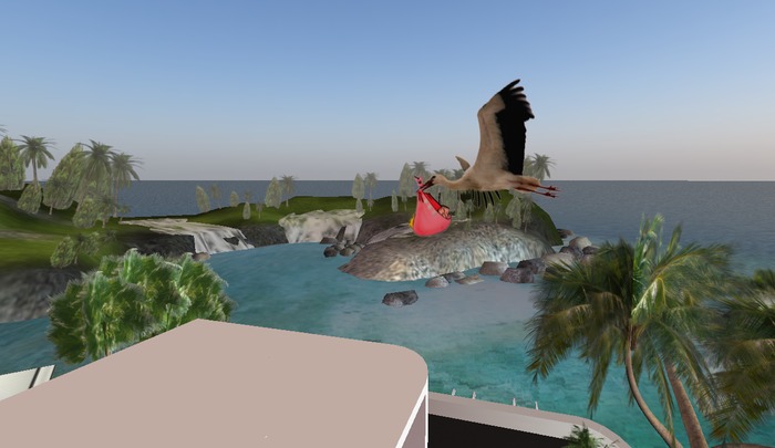 Pink stork flying