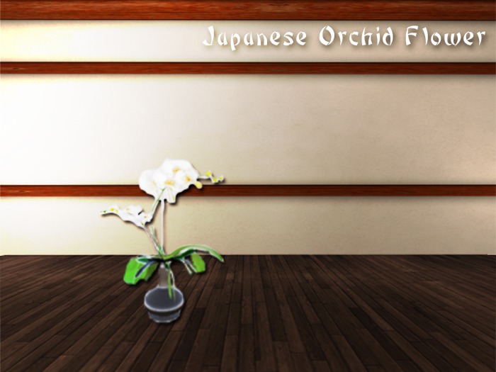 Japanese Orchid Flower