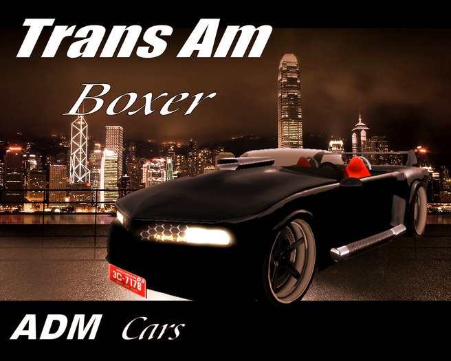 Trans Am Boxer