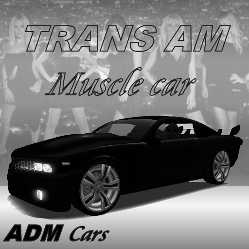 TransAm Muscle Car