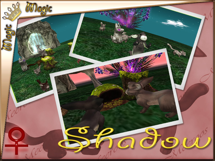 Shadow FnC5T! F/Shy/Indigo Clear/5167401 Level 6 Coat! multi traits