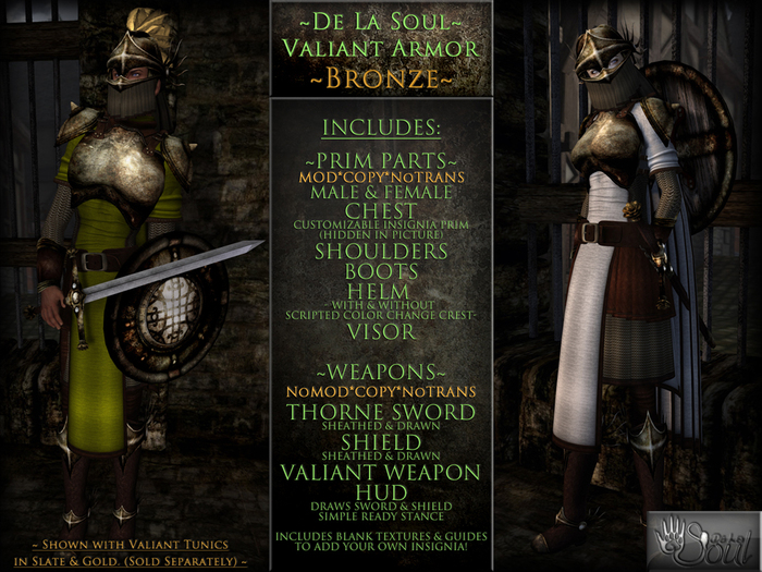 DLS~ Valiant Armor - Bronze