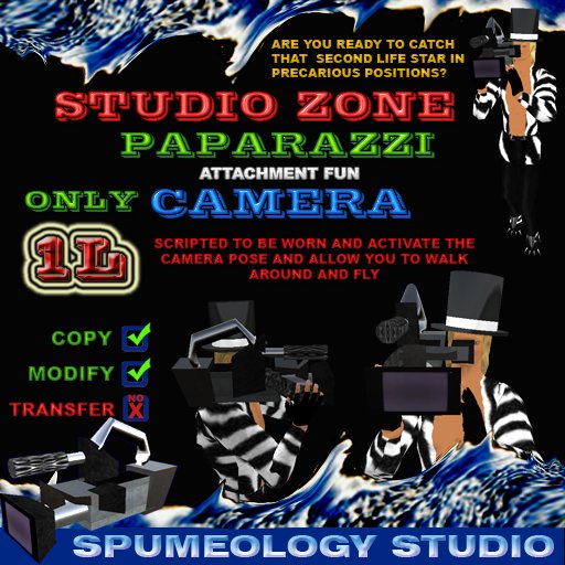 PAPARAZZI Video Camera Fun - Red Carpet Fun
