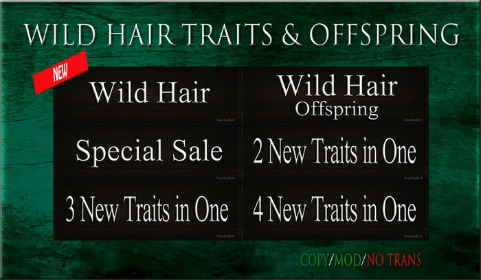 WILD HAIR SIGNS& OFFSPRINGS