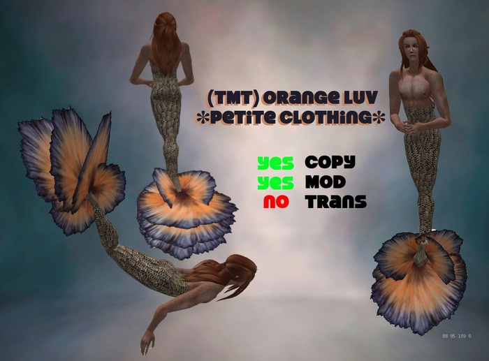 (TMT) Orange Luv Petite *MALE*