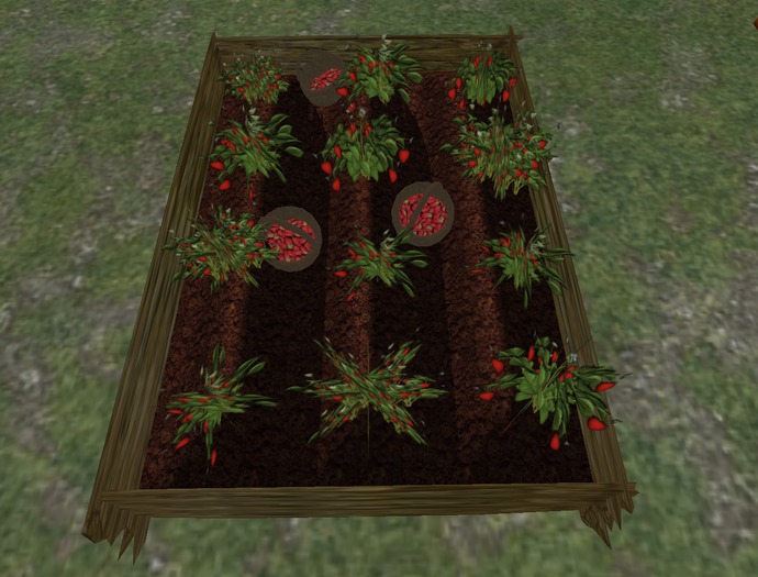 (SD)Strawberry field patch for 3