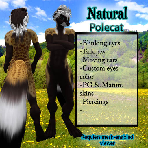 Furry Polecat - Natural