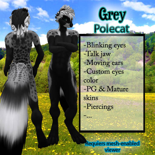 Furry Polecat - Grey
