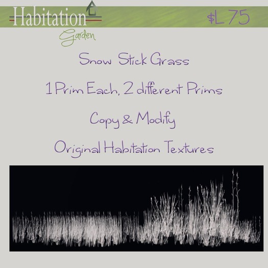 Habitation - Stick Grass - Snow