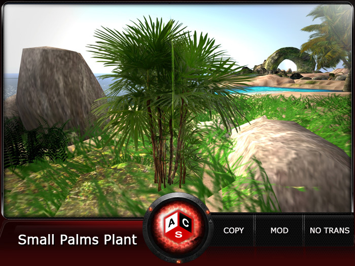 ACS Small Palms Plant