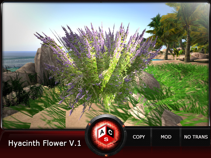 ACS Hyacinth Flower V.1