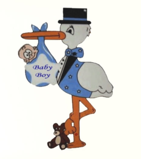 Blue stork star baby boy