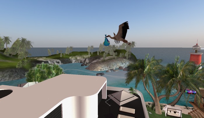 Blue stork flying