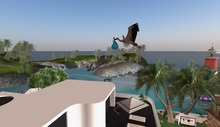 Blue stork flying