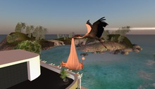 Fly stork with baby boy