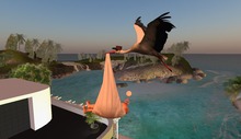 Fly stork with baby girl
