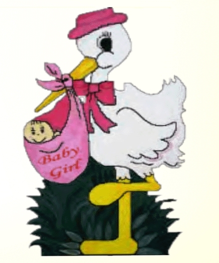 Pink stork - Garden
