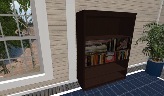 Daws (book)closet