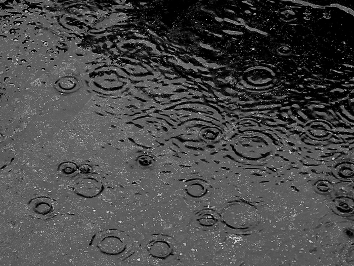 Mw  Rain sound effect full perms