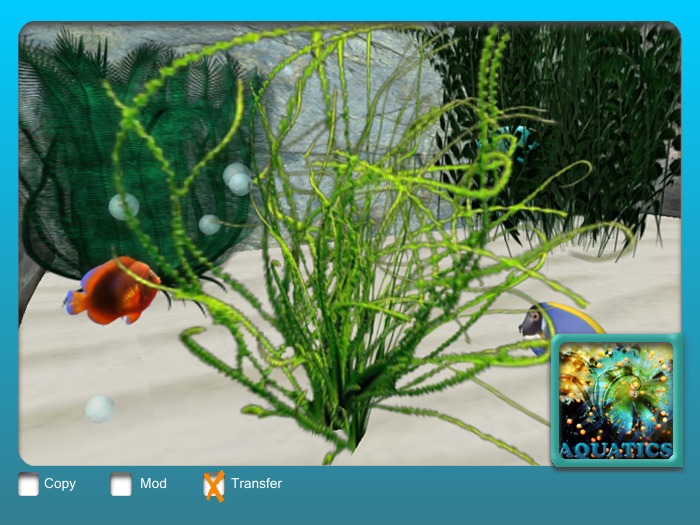 Aquatic Plant Crinum Medium